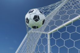 3d Illustration Soccer Ball Flew Into The Goal. Soccer Ball Bend